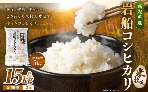 【 3ヶ月定期便 】 令和7年産 新潟県 村上市 岩船産米杜氏コシヒカリ 5kg 定期配送 お米 米 こめ コメ 白米 こしひかり コシヒカリ ブランド米 白飯 飯 ご飯 おにぎり 国産 新潟県産 005-0003