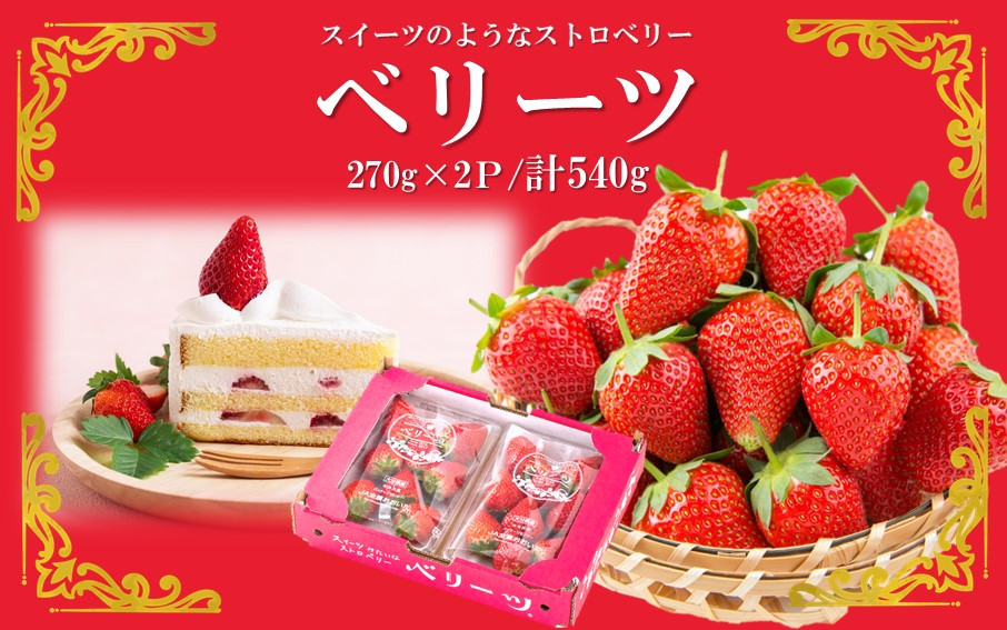 
                  大分県ブランドいちご/スイーツみたいな「ベリーツ」540g（270g×2P）_2338R
                