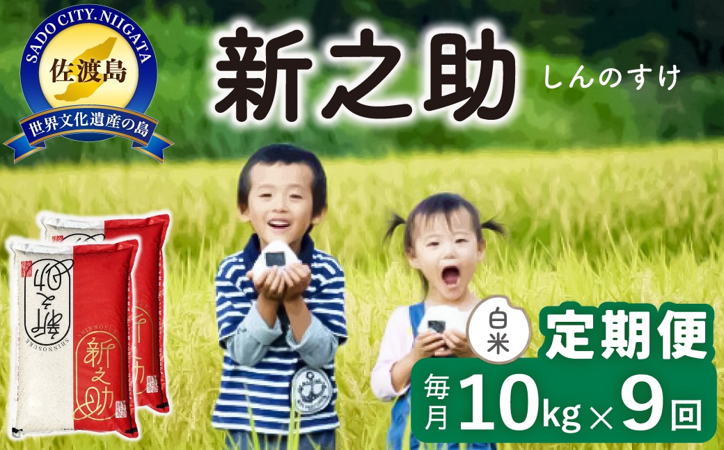 
                  【令和8年産新米 9ヶ月】佐渡島産 新之助 白米 10kg
                