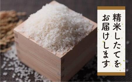 【令和7年産 新米】 飛騨産コシヒカリ 「うまいうまい飛騨の米」 白米 5kg | こしひかり 飛騨産 精米 お米 特別栽培米 飛騨高山 ファームジネンいいむら GG015