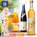 【ふるさと納税】 山形の梅酒 3蔵セット 500ml ＆ 720ml 辯天 千代寿 菊勇 F2Y-3528