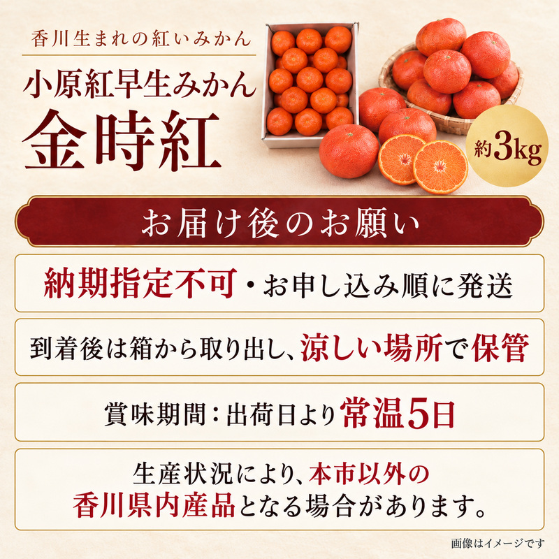 みかん 小原紅早生 金時紅 香川県産 国産 約3kg L〜Sサイズ混合 糖度11度以上 甘い 果皮が紅い 品種登録 柑橘 ミカン 蜜柑 こはらべにわせ フルーツ 果物 くだもの 果物類 デザート おや
