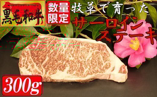 牧草で育った黒毛和牛　サーロインステーキ（数量限定）