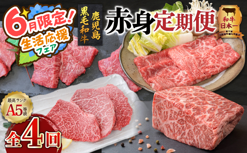 
            【 期間限定 特別価格 】【全4回】A5等級鹿児島黒毛和牛赤身定期便　K002-T01
          
