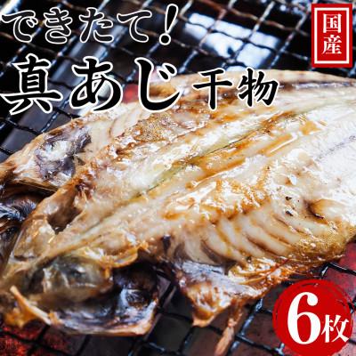 ふるさと納税 いすみ市 できたて干物!!あじ6枚