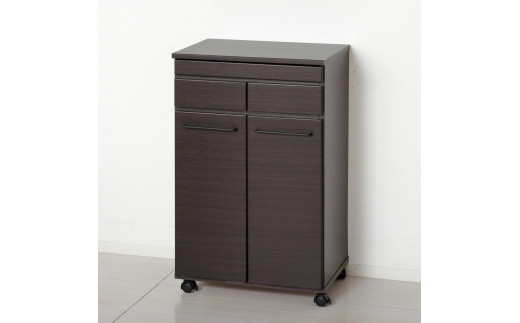 スライド棚付きダストボックス2D 約幅55×奥行40×高さ82cm ブラウン 19Lペール蓋付ダストボックス２台付 AKU104405102