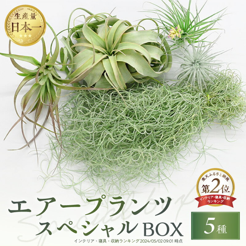 【ふるさと納税】生産量日本一 南紀グリーンハウス エアープランツスペシャルBOX 5種セット【丈夫で育てやすく、インテリアにもおすすめです 】
