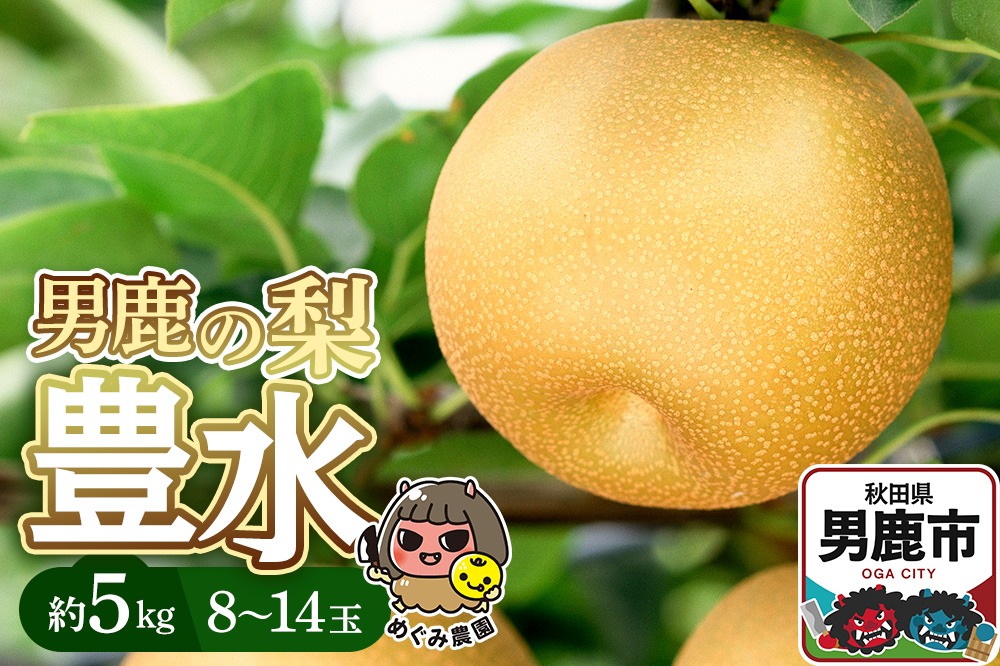 【先行受付】男鹿の梨 豊水 約5kg 8～14玉 梨 秋田県 男鹿市 ＜めぐみ農園＞9月中旬より発送|23_mgm-010501