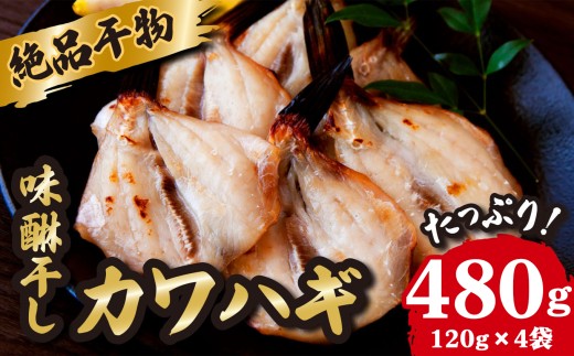 絶品 干物 高級魚 カワハギ みりん干し たっぷり 満足 の 480ｇ（120ｇ×4袋） かわはぎ 魚 さかな 鮮魚 新鮮 おすすめ 三重県 尾鷲市 IW-6