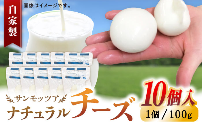 自家製ナチュラルチーズ サンモッツア 10個 ( 100g × 10個 ) 熊本 山都町【山の未来舎】[YBV009]