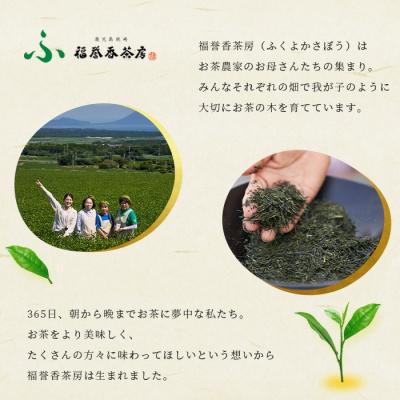 ふるさと納税 枕崎市 福誉香茶房 厳選茶葉使用 ティーバッグ 煎茶 粉末茶 3個セット A3-282 |  | 03