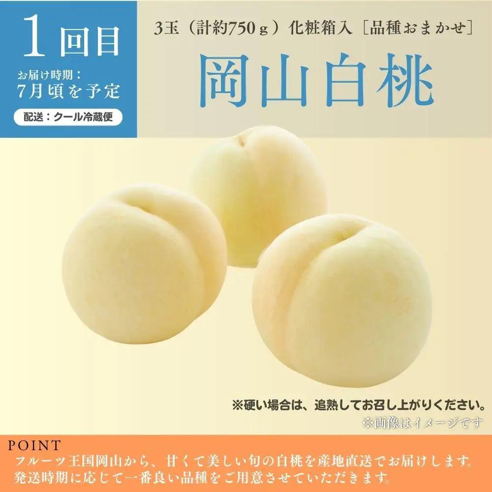 ＜定期便5回＞ 冬桃がたりの5回コース [040-a015]