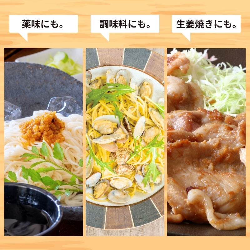 うまくて生姜ねぇ!!12本セット 【しょうが 国産 醤油漬け ごはんのお供 お弁当 調味料 おつまみ 肴 薬味 隠し味 猪苗代町 福島県】_イメージ3