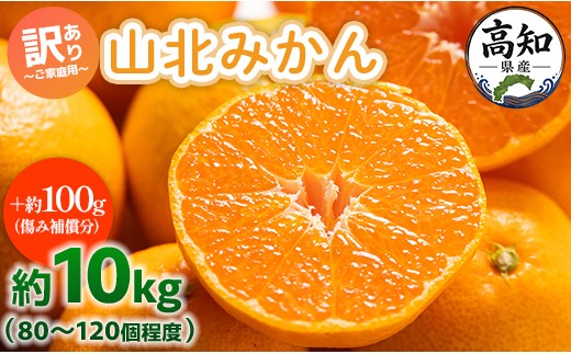 
                  【今季発送は1月12日決済分まで】みかん 10kg 訳あり 山北みかん ご家庭用 約10kg（80～120個程度） 山北みらい - 訳ありみかん 10kg 10kg箱 ﾐｶﾝ 果物 フルーツ 柑橘類 温州みかん ミカン ジュース ゼリー 栄養 ビタミン 蜜柑 甘い 訳アリ 訳あり おいしい 美味しい 高知県 香南市 みかん 10kg yk-0059
                