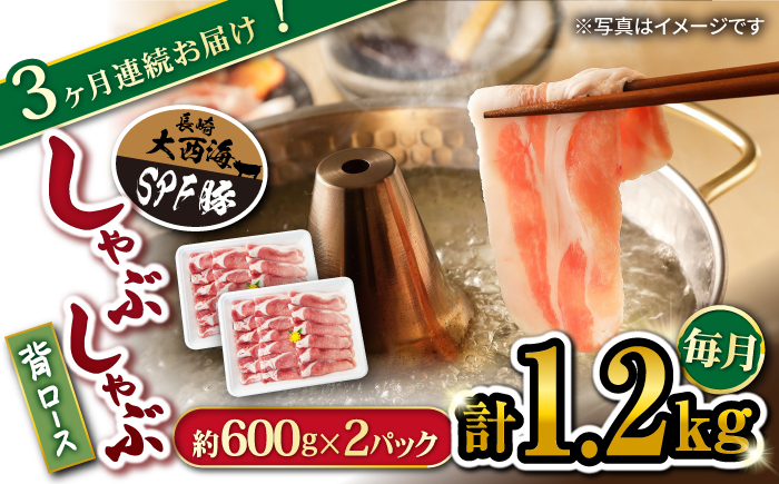 【月1回1.2kg×3回定期便】 大西海SPF 豚 背ロース （ しゃぶしゃぶ 用）訳あり ＜大西海ファーム＞ [CEK094]