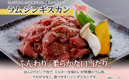 長野県 不動温泉 さぎり荘 謹製 ラムジンギスカン 250g×4袋 計1kg 羊肉 ラム 味付き 肉 お肉 ジンギスカン 焼肉 BBQ 冷凍 小分け キャンプ  羊 おかず ストック お取り寄せ グル