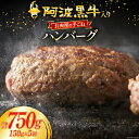 【ふるさと納税】牛肉 阿波黒牛入り 老舗お肉屋の手ごね ハンバーグ 150g×5個 (箱入り) [北島藤原精肉店 徳島県 北島町 29al0005] 肉 惣菜 手ごね 阿波黒牛 阿波 おかず 手作り