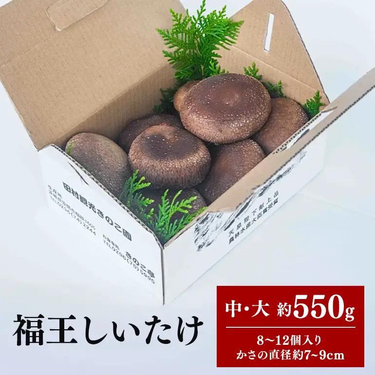 【先行販売/2026年10月末以降発送】福王しいたけ 中～大サイズ 約550g IA-001