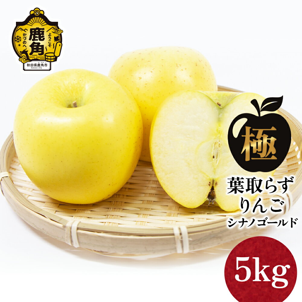 【ふるさと納税】《 先行予約 》 りんご 極 葉取らず シナノゴールド 5kg（13～20玉）【録政園】 葉とらず みずみずしい 果汁 リンゴ 林檎 完熟 旬 県産りんご お中元 お歳暮 贈り物 お見舞い グルメ ギフト 故郷 秋田県鹿角市産 送料無料