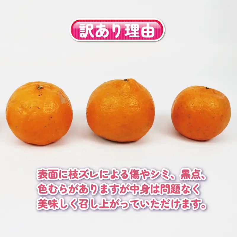 訳あり ぽんかん 約 2kg くり房 ぼんかん B010-204005