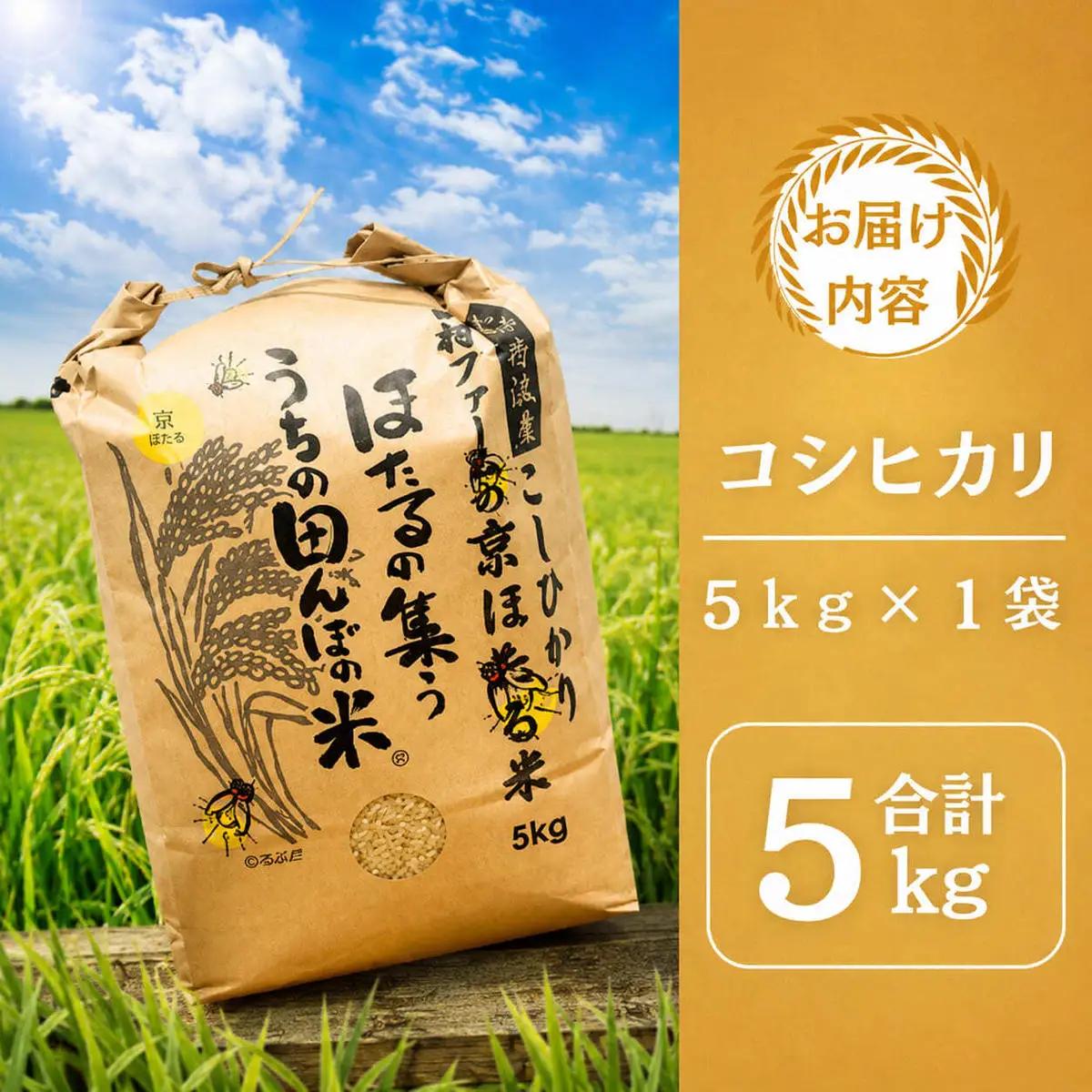 コシヒカリ 5kg 米 お米 京都丹波産 コシヒカリ