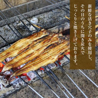 ふるさと納税 淡路市 ふわとろあなご丼の素 100g×2　aa54001 |  | 01