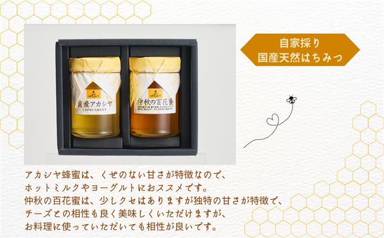 自家採り国産天然はちみつ 2本セット(220g×2)【渡辺養蜂場】