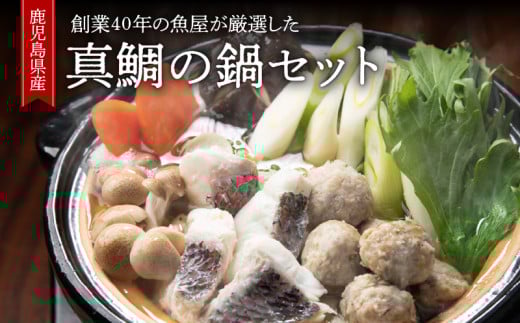 1390 創業40年の魚屋が厳選した鹿児島産真鯛の鍋セット（生うどん付き）