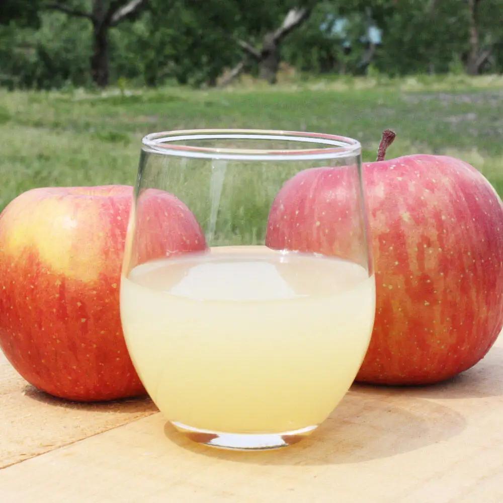 りんごジュース ストレート果汁【林檎園】1000ml×6本 紙パック ゴールド農園 かめあし商店
