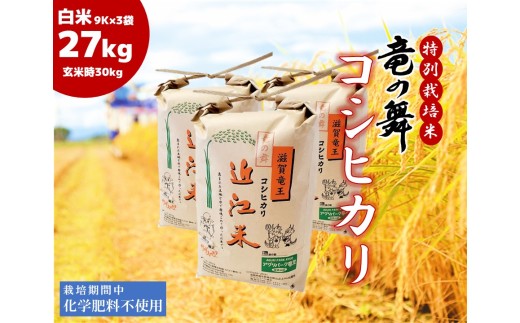 こしひかり 白米 27kg ( 9kg × 3袋入 )  2025年産 竜の舞 化学肥料不使用 特別栽培米 玄米 時容量 30kg (10kg × 3袋) 国産 安心 安全 近江米 米 お米 白米 お弁当 玄米 産地直送 滋賀県 竜王町 送料無料