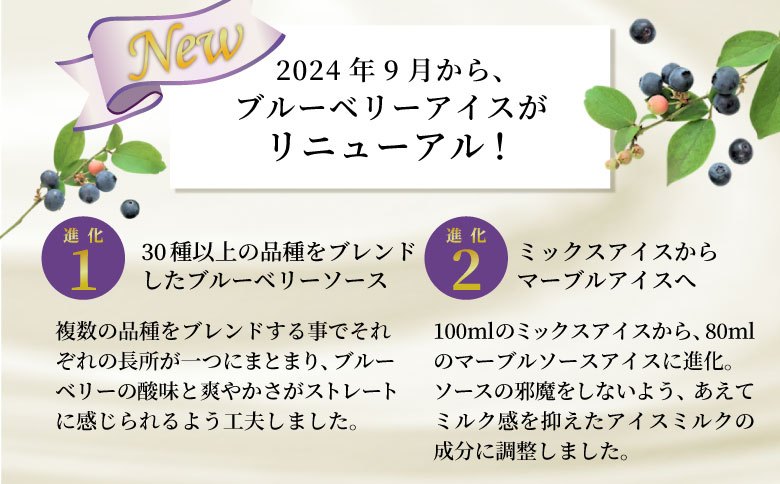 予約品★4種類のアイス堪能16個セット 80ml 100ml　アイスクリーム アイス 苺　ブルーベリー　りんご 詰め合わせ アソート