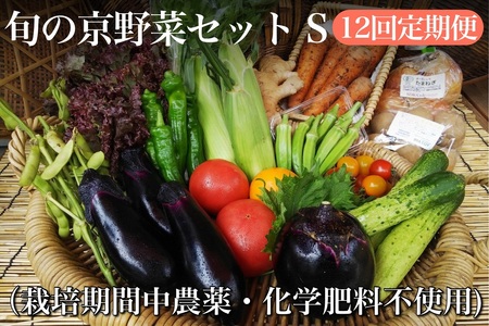 【12回定期便】 ＜アスカ有機農園＞旬の京野菜セットS定期便＊毎月お届け全12回定期便≪野菜定期便 ふるさと納税野菜定期便 野菜詰め合わせ 野菜セット 野菜定期便 野菜 ≫