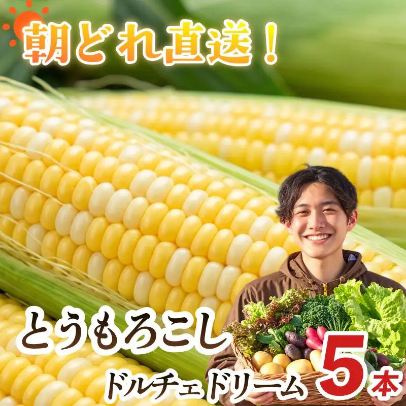 【とうもろこし 5本 】11月発送  ドルチェドリーム  静岡 県 牧之原市 t.p.C farm 堀内農園 
