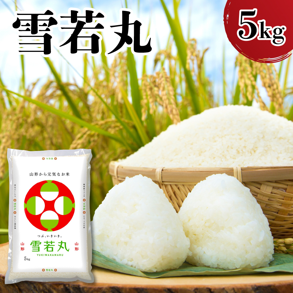 令和7年産 山形県産 雪若丸 5kg 精米 白米 2025年産 産地直送 山形県 米沢市