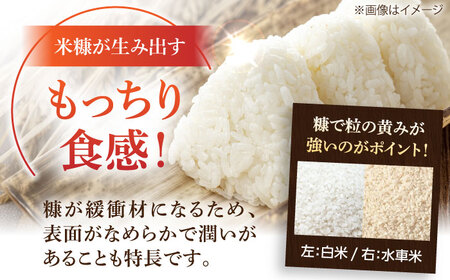 【もっちりツヤツヤの自慢のお米！】令和5年産 大楠水車米 さがびより 10kg（5kg×2袋）若木町産 [UBY003] さがびより 白米 米 水車米 お米 精米 白米さがびより佐賀県産白米 武雄市産