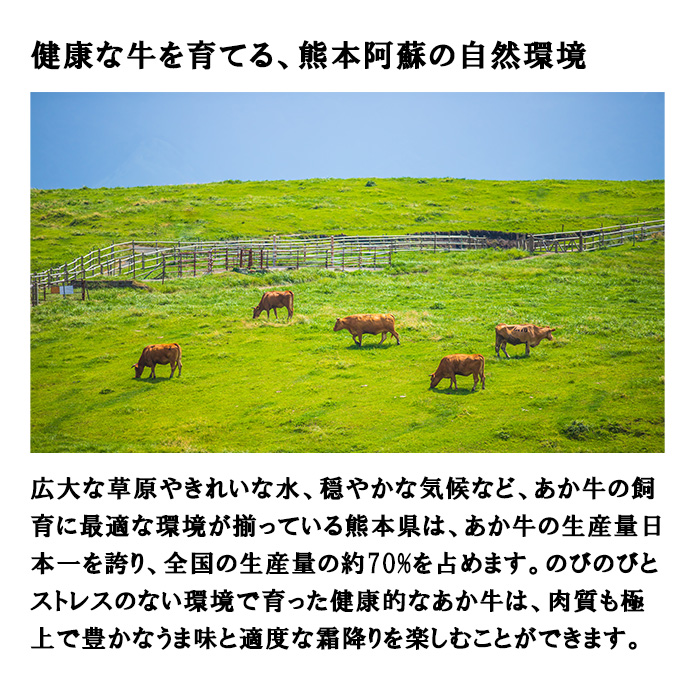 【三協畜産】熊本和牛 あか牛 熊本県産 肥育 加工品 阿蘇 熊本 褐毛和種 褐牛 和牛 あか牛100% 牛肉 ハンバーグ 120g 6個 計720g 惣菜 おかず ご飯のお供 熊本名物 ご家庭用 ギフ