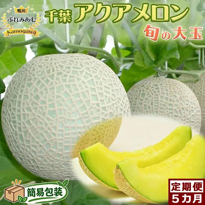 【鴨川ぷれみあむ】初夏の特別な一玉『千葉アクアメロン』旬の大玉１個 定期便５カ月 《簡易包装》《令和9年5月発送開始》《先行予約》マスクメロン 青肉メロン 大玉メロン 高級メロン ブランドメロン 果物 フルーツ 期間限定 千葉県産 鴨川市 [高橋メロン農園][0050-0078]