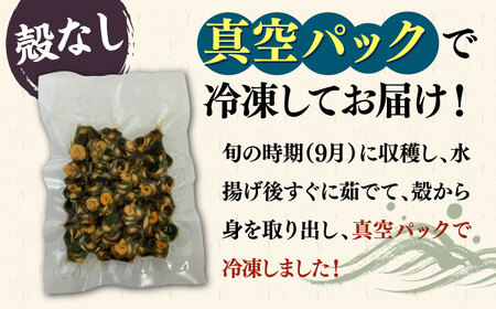 ボイル ミナ貝 450g（殻付き300g・殻剥き150g）《壱岐市》【鈴の海庭】 貝 魚貝 海産物 ボイル 刺身 小分け おつまみ サザエ ニナ貝 シッタカ[JFV001]