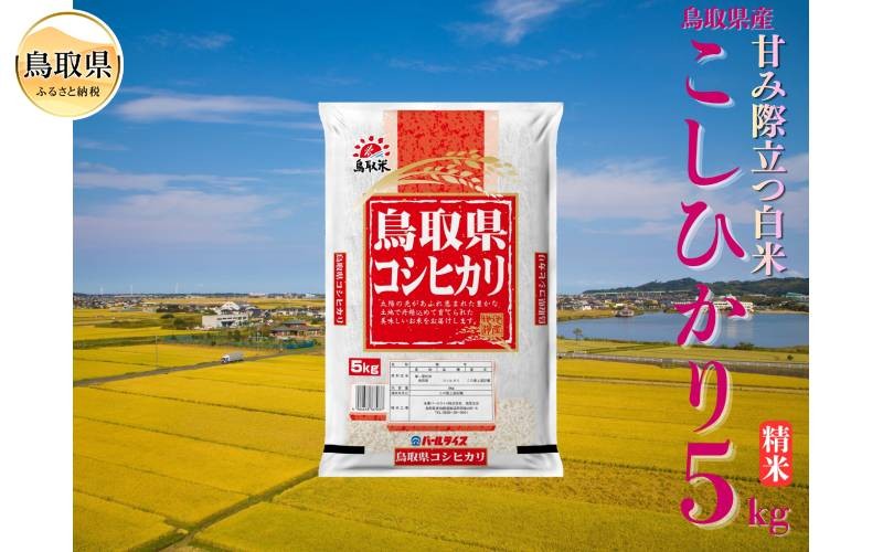 
                  こしひかり◇鳥取県産◇精米5kg_T2600513　こしひかり、コシヒカリ、精米、白米、ご飯、銘柄米、鳥取県、鳥取県産
                