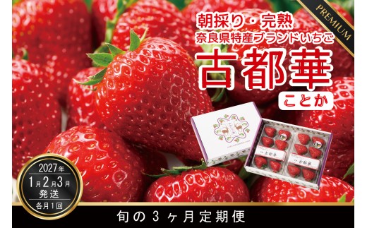増量4パック 定期便 先行予約 数量限定 古都華 【1・2・3月発送3ヶ月定期便】奈良県特産 高級ブランドいちご「古都華」旬の３ヶ月定期便 // いちご イチゴ 古都華 フルーツ 果物 旬 限定  ブランド 定期便  朝採り 完熟 いちご ことか イチゴ 先行予約 贈答用 ギフト 化粧箱 大粒