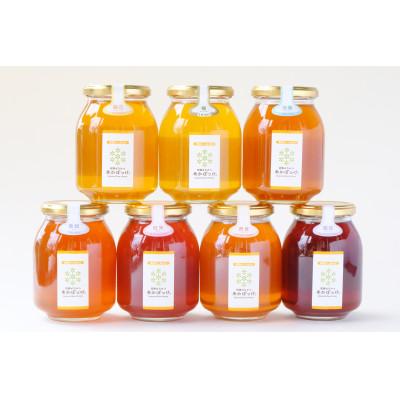 ふるさと納税 五霞町 500gを7種7本セット【生ハチミツ】月ごとに楽しむ田舎はちみつ |  | 01