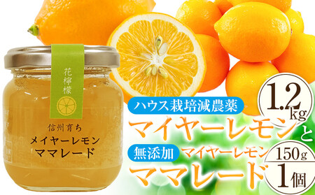 （先行予約）ハウス栽培減農薬 「 マイヤーレモン 」（1.2kg）と無添加「マイヤーレモン ママレード」（150g×1個）宮田村 南信州産 ジャム  メイヤーレモン ジャム マーマレード
