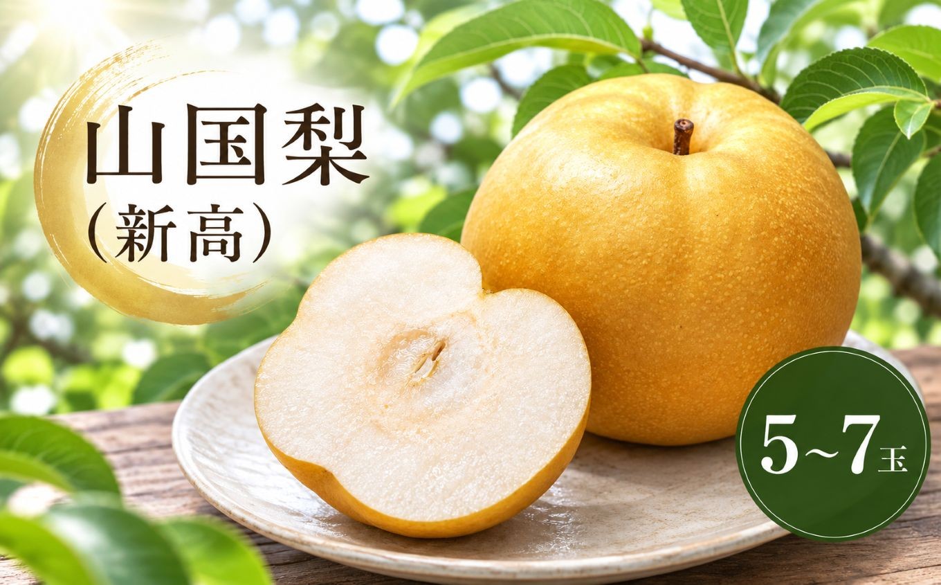 
                  【先行予約】山国梨 (新高）梨 5～7玉 | なし ナシ 産地直送 果物 くだもの フルーツ 大分県産 九州産 中津市 国産 送料無料【発送：2026年10月中旬～11月下旬頃の予定】 
                