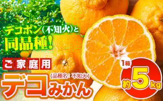 デコポン ( 不知火 )と同品種！デコみかん 熊本県産 (津奈木町産含む) 訳あり 約5kg前後(12-24玉前後) 柑橘《2月中旬-4月末頃出荷》 みかん フルーツ 不知火 先行予約 訳あり 訳アリ ご家庭用 でこみかん 果物 予約受付