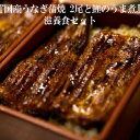 【ふるさと納税】加須の名店うなぎ荒川の『国産うなぎ蒲焼 2尾と鯉のうま煮』 滋養食セット