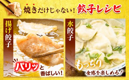 餃子 冷凍 博多和牛 手作り 80個 20個 × 4パック 清柳食産《30日以内に出荷予定(土日祝除く)》九州産 牛 肉  冷凍   牛肉 肉料理 和牛 博多和牛 揚げ餃子 水餃子