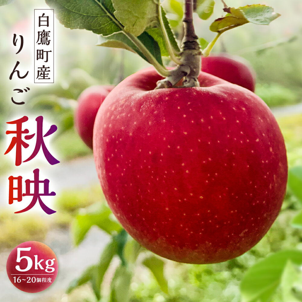 【ふるさと納税】白鷹町産りんご (秋映) 5kg りんご 林檎 果物 くだもの フルーツ 旬 秋映 国産 山形県 白鷹町 送料無料 【2025年9月下旬-10月上旬発送予定】