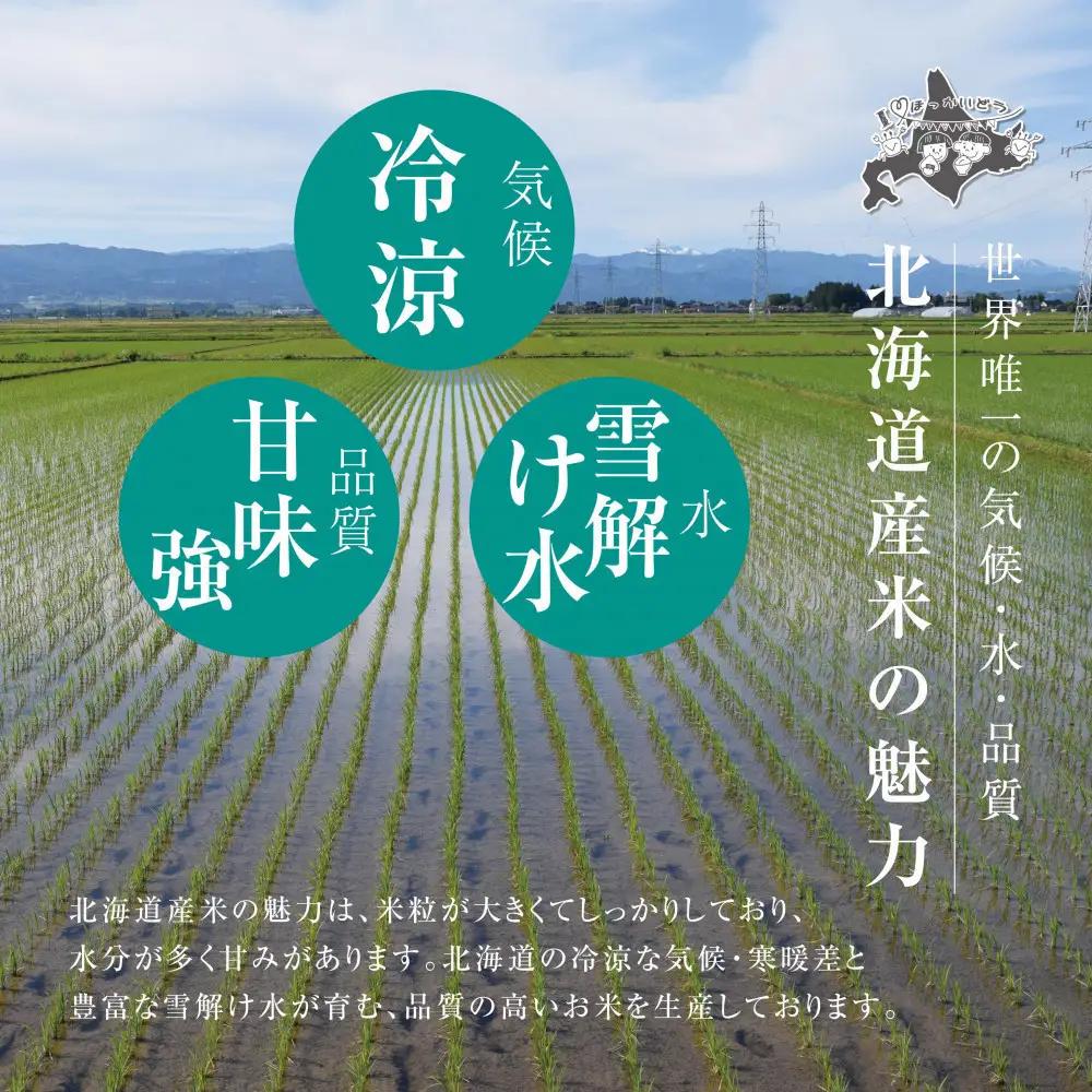 令和7年産 北海道ブレンド米 (5kg)  ブレンド米