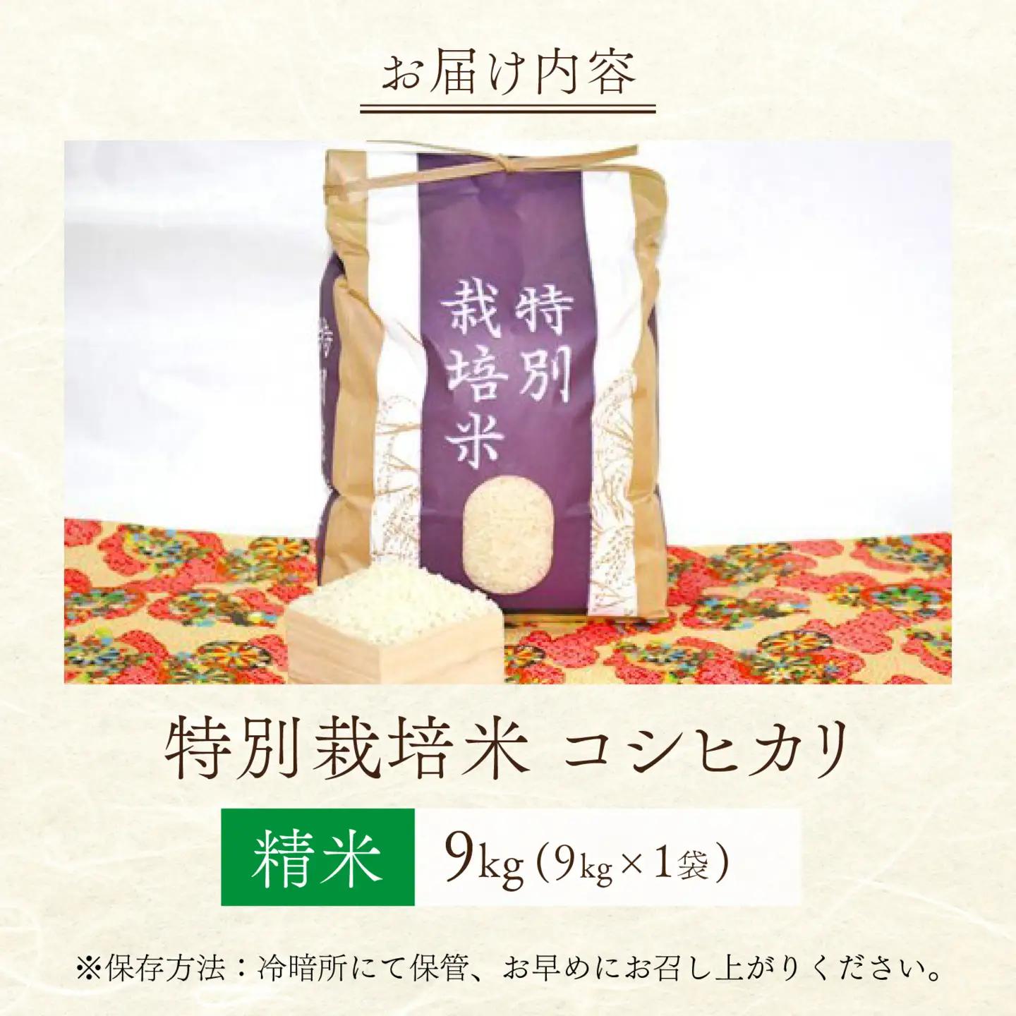 【 先行予約 】 令和8年産 特別栽培米 コシヒカリ 精米 9kg 【2026年10月末より順次発送開始予定】米