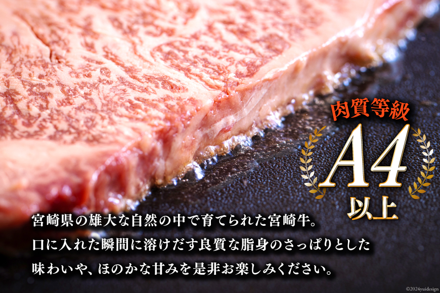 牛肉 ステーキ 宮崎牛 特上 ロースステーキ 300g ×2枚 計 600g[アグリ産業匠泰 宮崎県 美郷町 31be0028] 冷凍 小分け 肉 A4 A5 黒毛和牛 焼肉 焼き肉 BBQ_イメージ